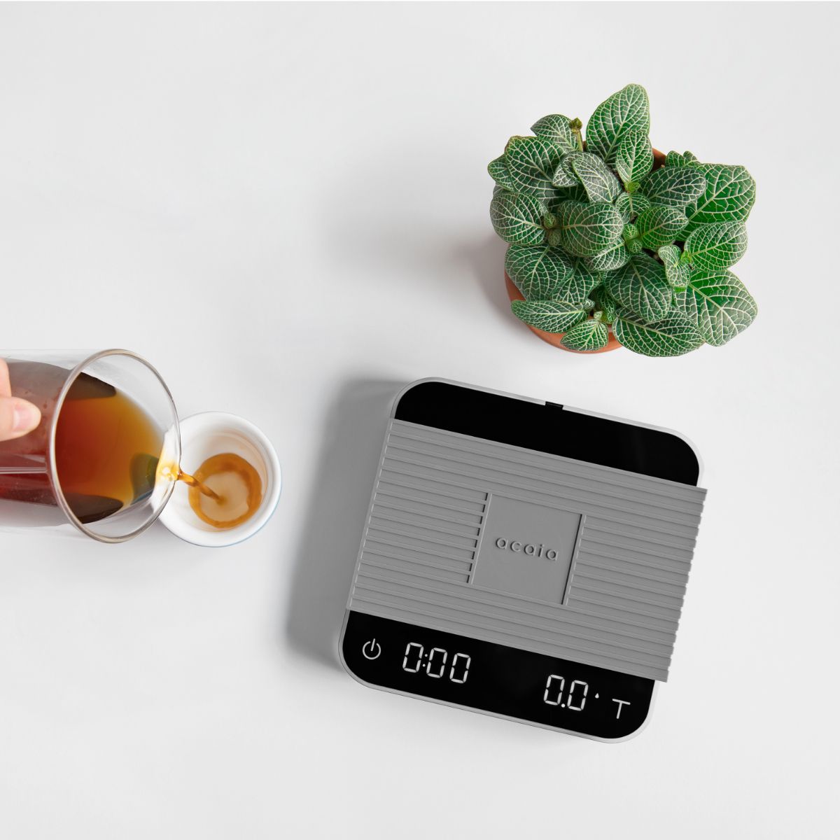 Acaia Pearl 2021 Scale | THE COFFEE GOODS